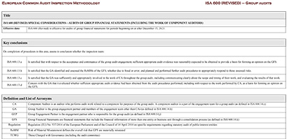 Gua sobre Metodologa comn de inspeccin: Programa de trabajo sobre Auditoras de Grupo (COESA-Octubre2024)_EN